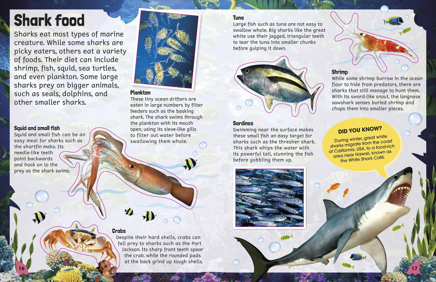 Sticker Encyclopedia Sharks: More Than 600 Stickers