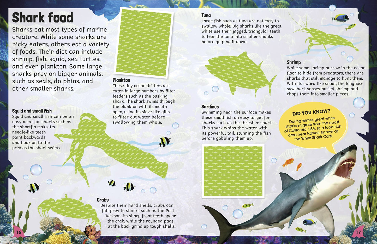 Sticker Encyclopedia Sharks: More Than 600 Stickers