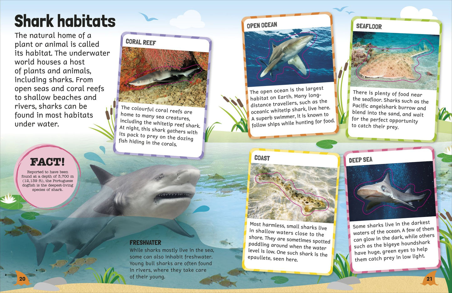Sticker Encyclopedia Sharks: More Than 600 Stickers