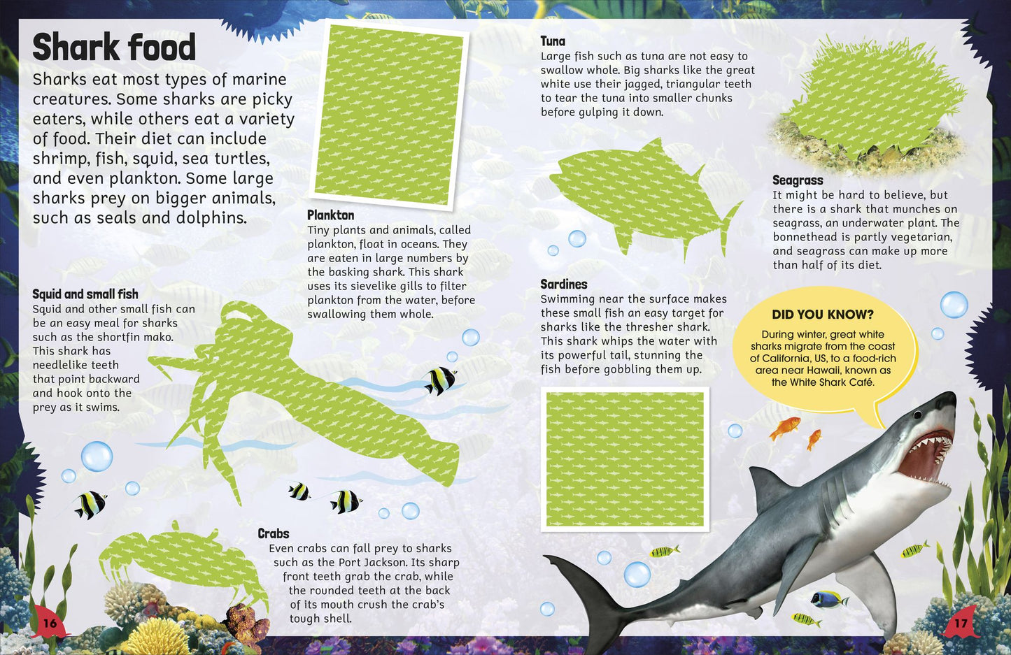 Sticker Encyclopedia Sharks: More Than 600 Stickers