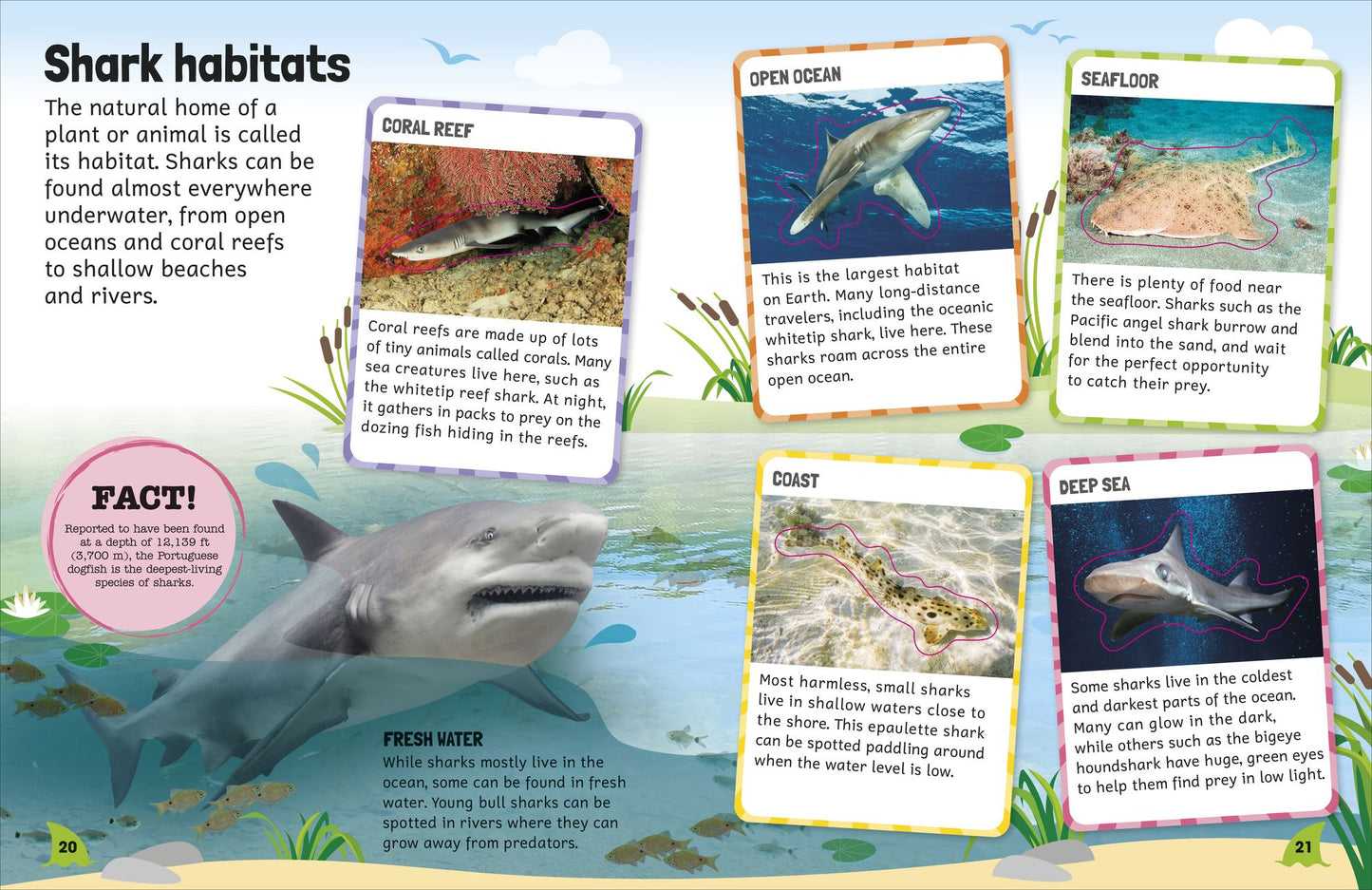 Sticker Encyclopedia Sharks: More Than 600 Stickers