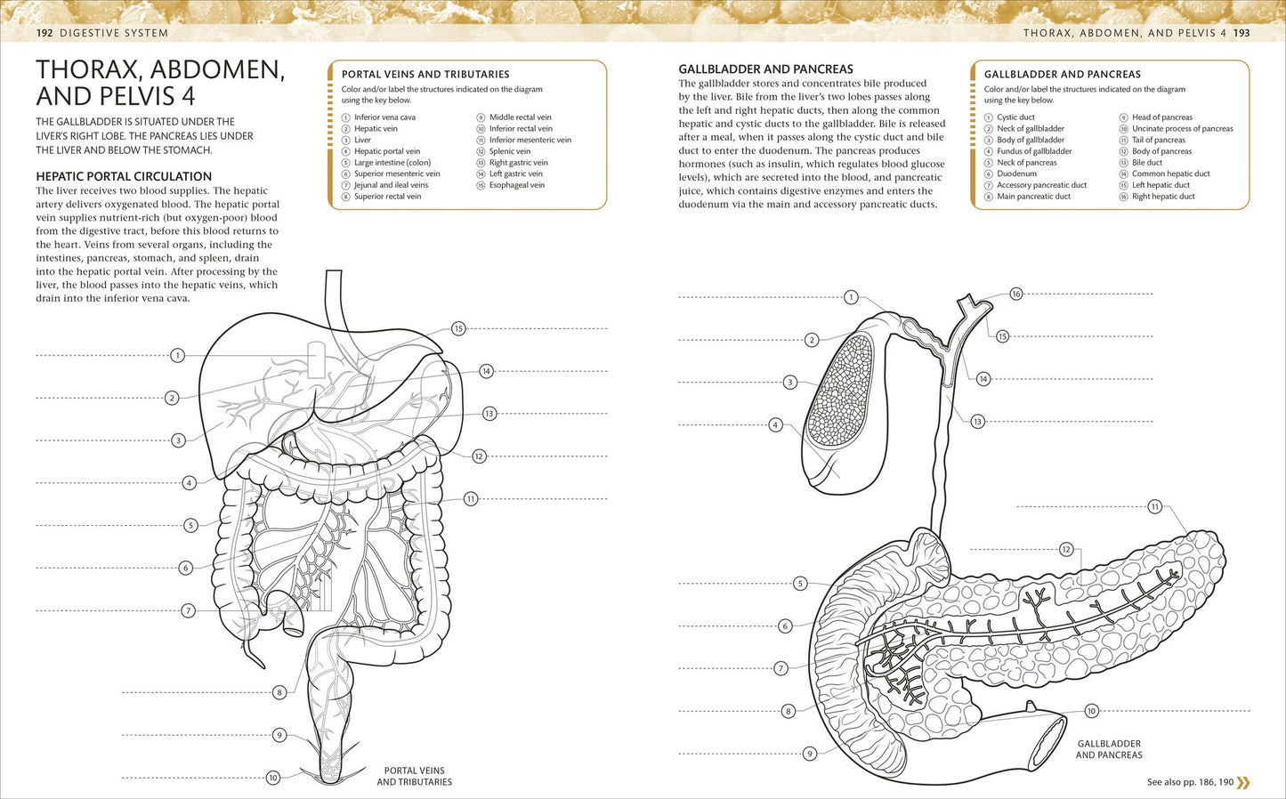 The Human Body Coloring Book: The Ultimate Anatomy Study Guide, Second Edition