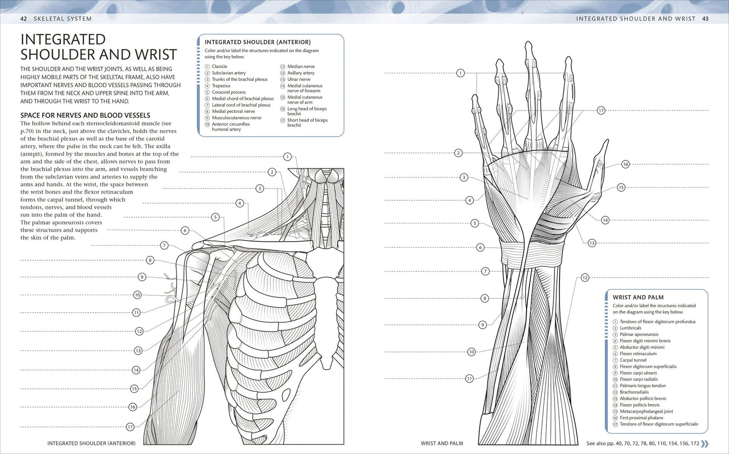 The Human Body Coloring Book: The Ultimate Anatomy Study Guide, Second Edition