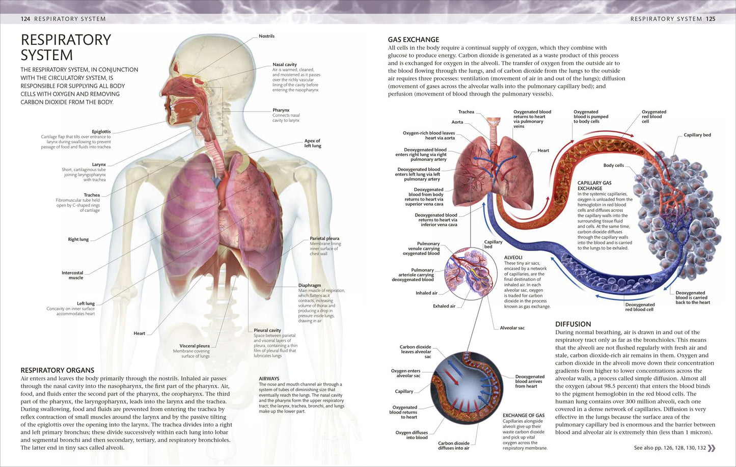 The Human Body Coloring Book: The Ultimate Anatomy Study Guide, Second Edition