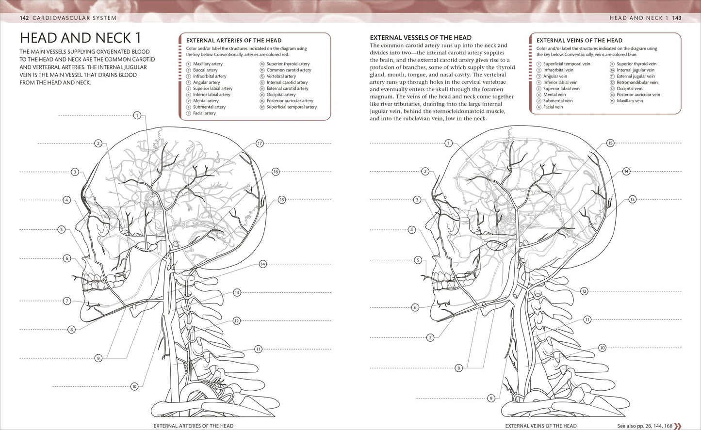The Human Body Coloring Book: The Ultimate Anatomy Study Guide, Second Edition