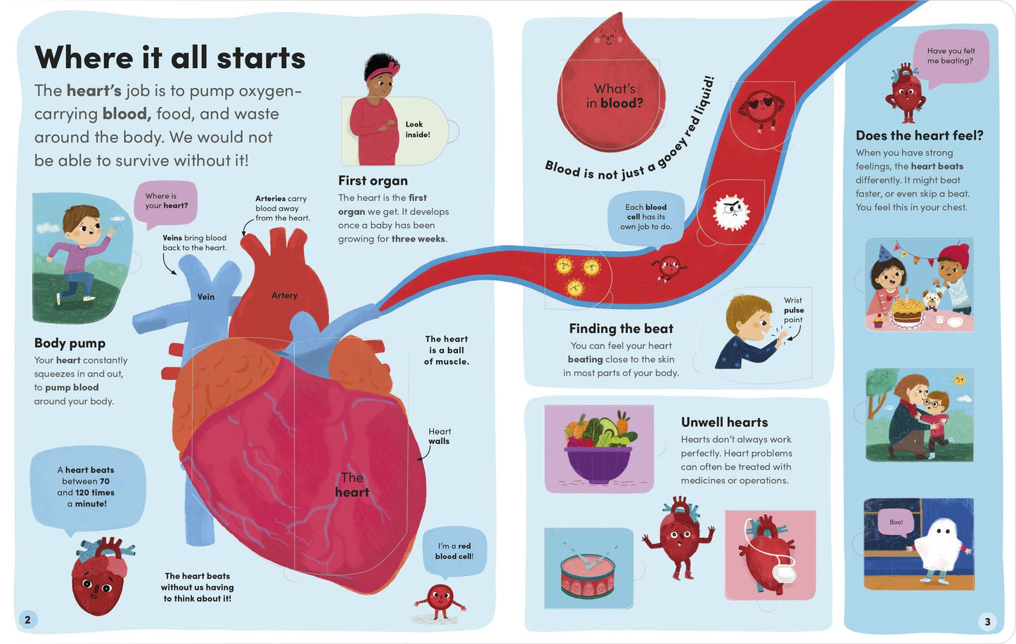 You and Your Body: A First Look Inside the Human Body