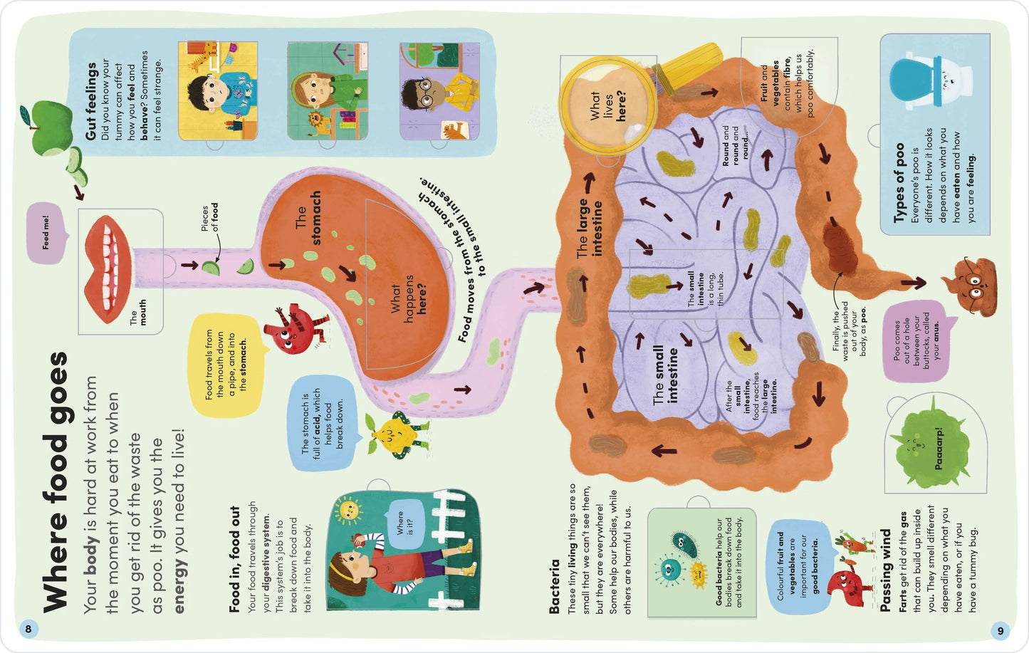 You and Your Body: A First Look Inside the Human Body