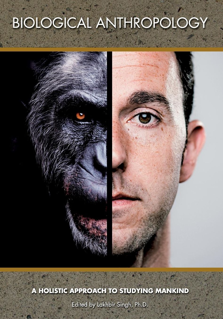 Biological Anthropology A Hollistic Approach to Studying Mankind
