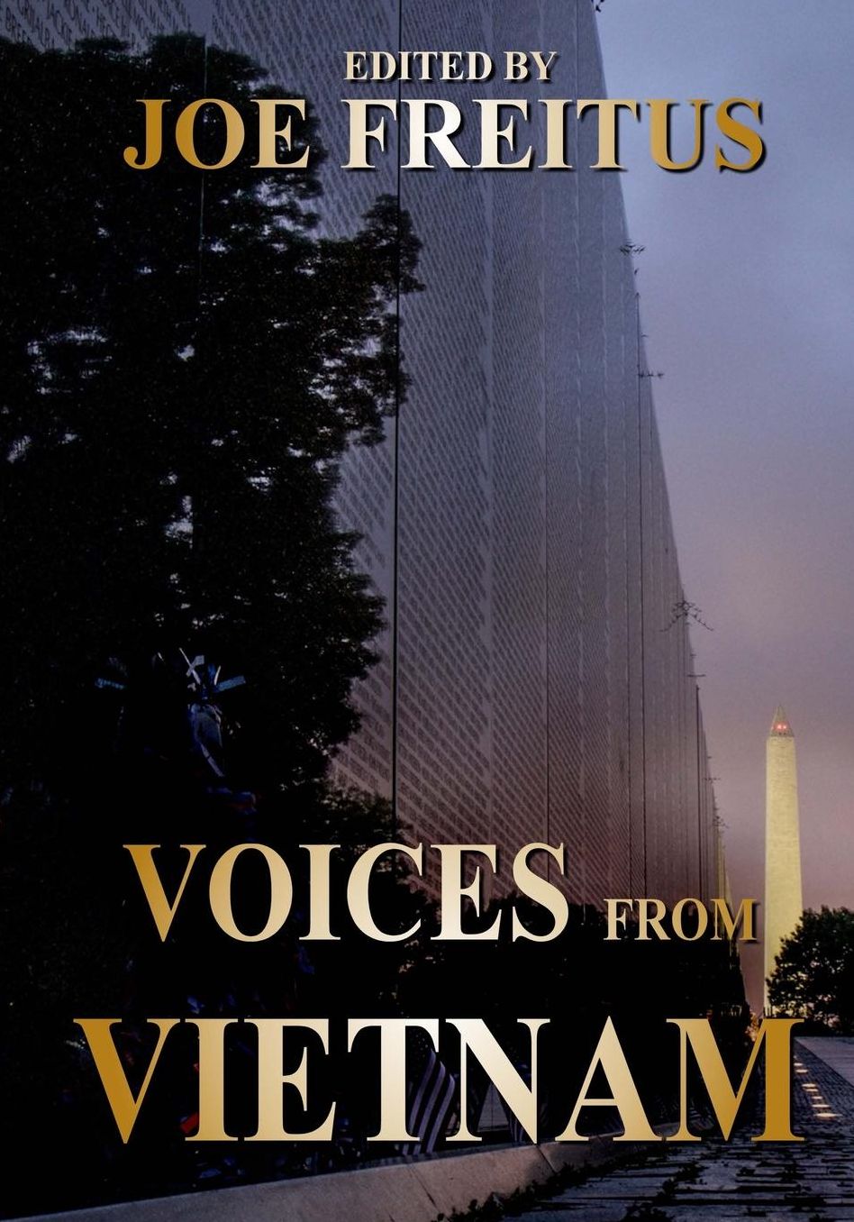 Voices From Vietnam: A Collection of War Histories