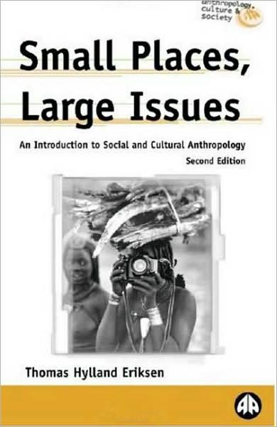 Small Places, Large Issues - Second Edition: An Introduction to Social and Cultural Anthropology