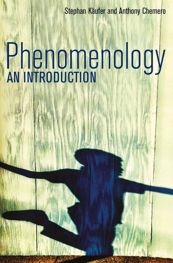 Phenomenology: An Introduction
