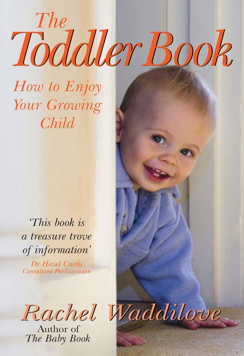 The Toddler Book How to Enjoy Your Growing Child