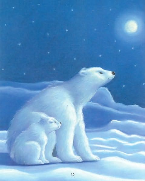 Arkful of Animal Prayers