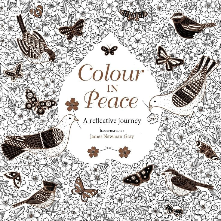 Colour in Peace: A Reflective Journey