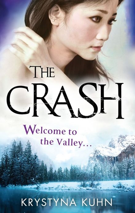 The Crash: Number 2 in series