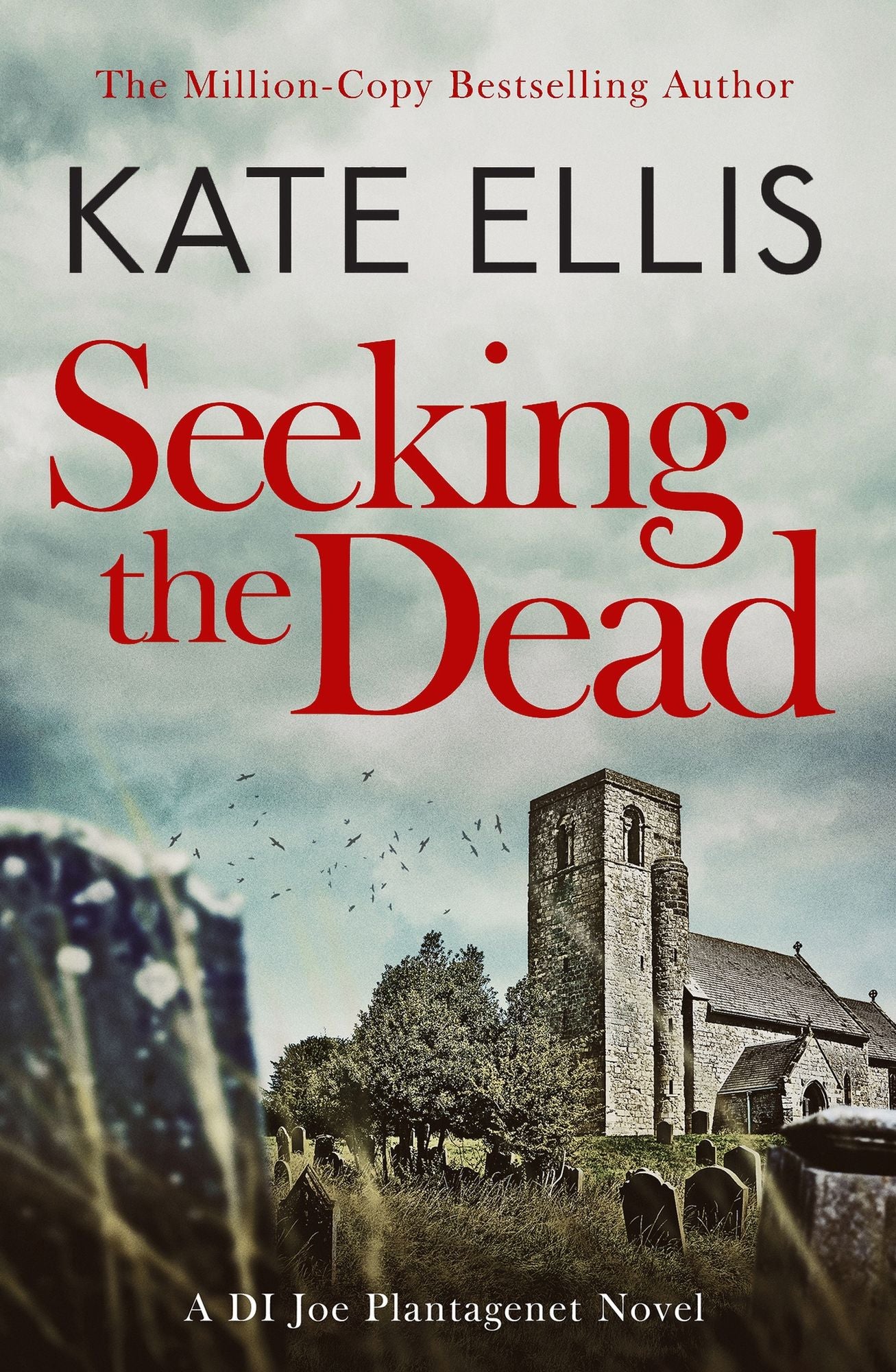 Seeking the Dead: A Joe Plantagenet Murder Mystery: Book 1