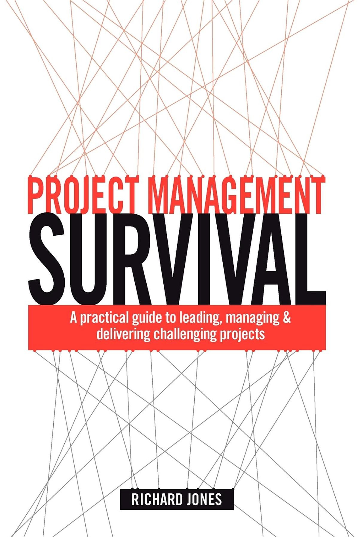 Project Management Survival: A Practical Guide to Managing & Delivering Challenging Projects