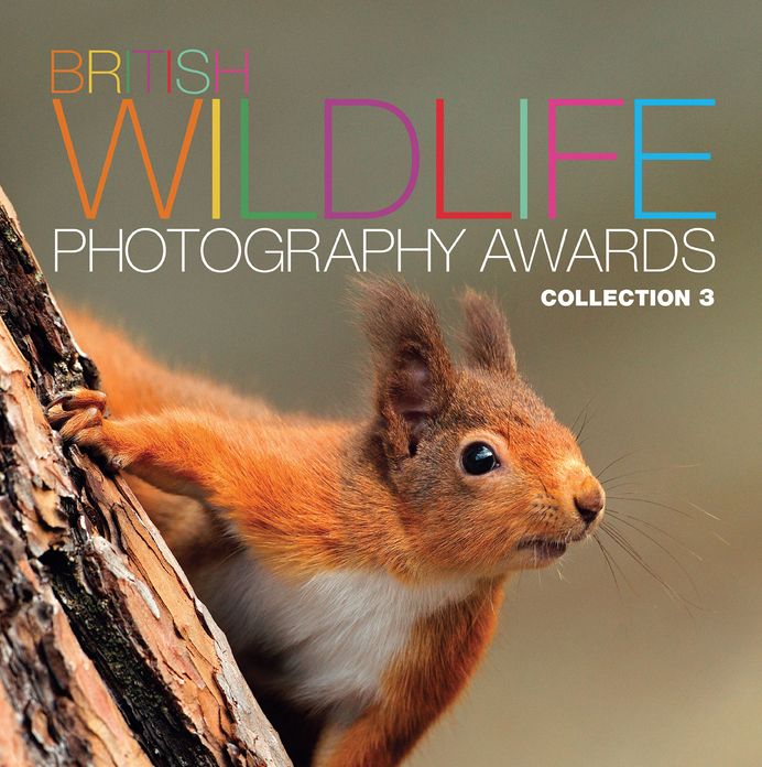 British Wildlife Photography Awards: Collection 3