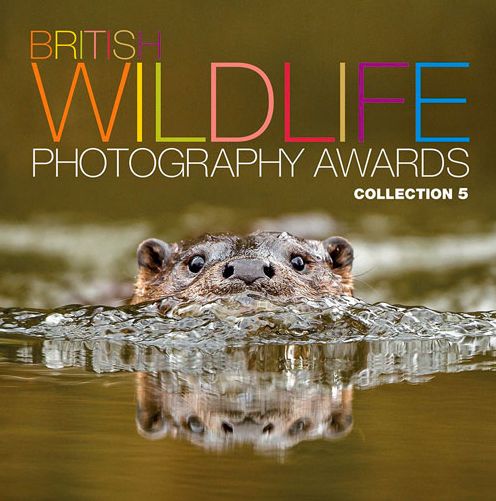 British Wildlife Photography Awards: Collection 5