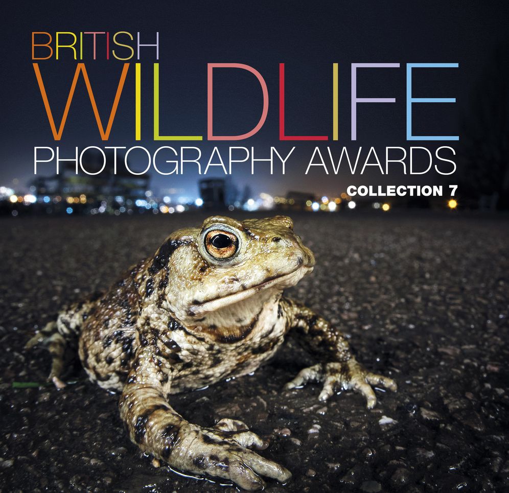 British Wildlife Photography Awards: Collection 7