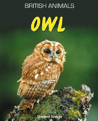 Owl. Stephen Savage