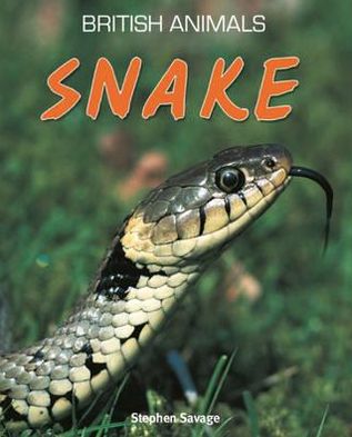 Snake. Stephen Savage