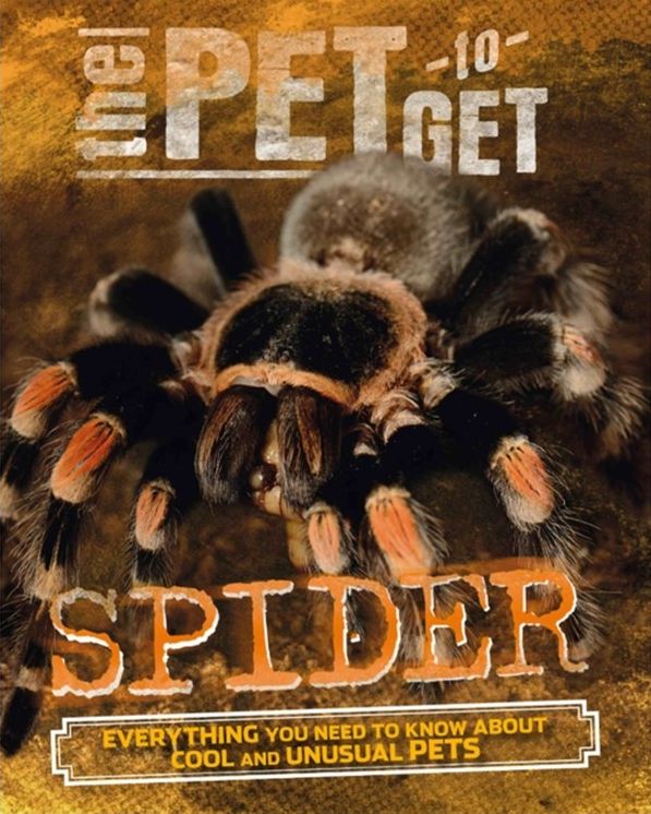 The Pet to Get: Spider
