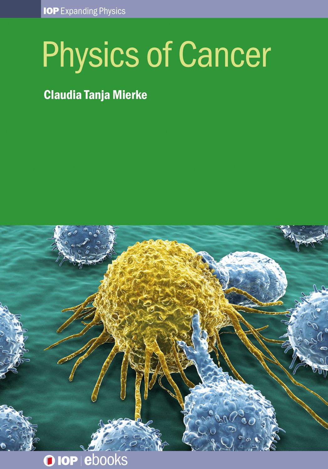 Physics of Cancer