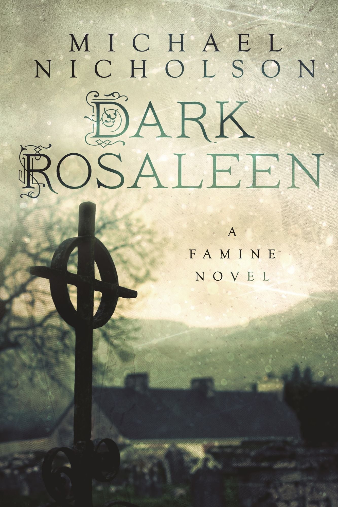 Dark Rosaleen: A Famine Novel