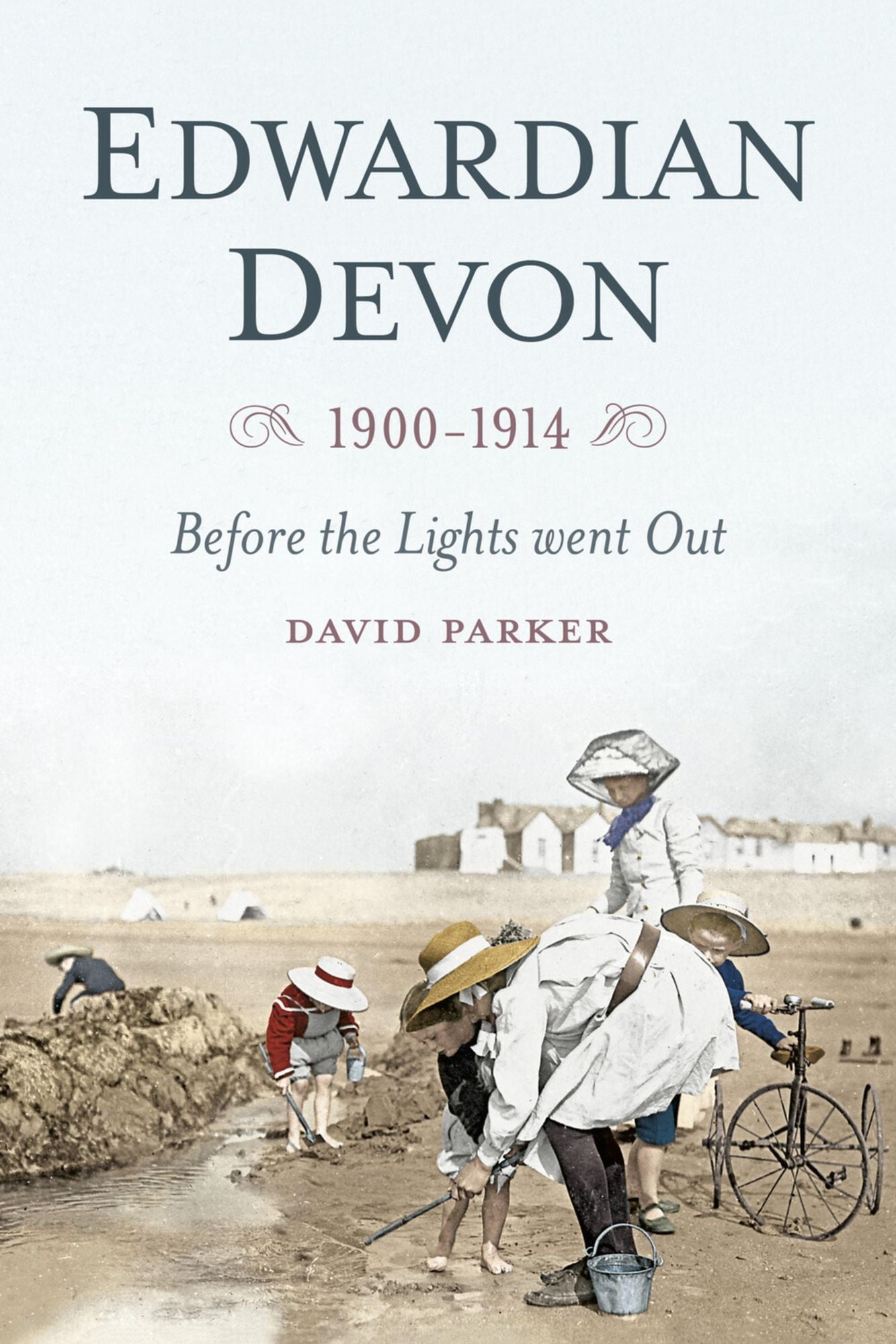 Edwardian Devon: Before the Lights Went Out