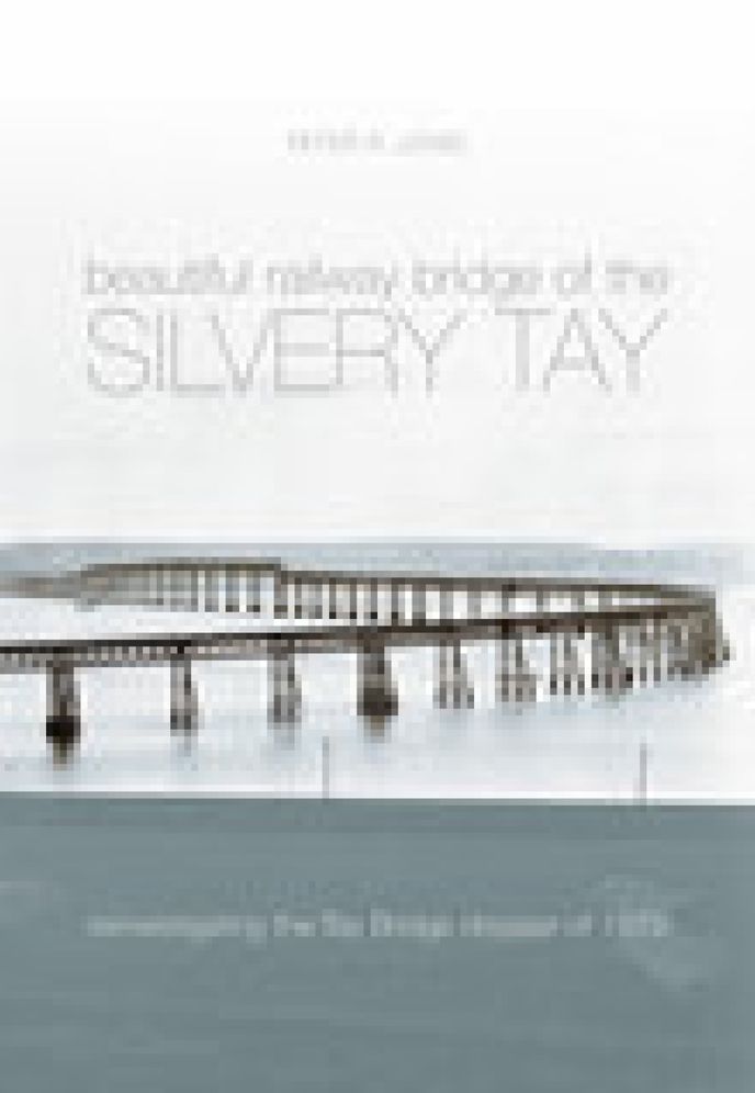 Beautiful Railway Bridge of the Silvery Tay: Reinvestigating theTay bridge Disaster fo 1879
