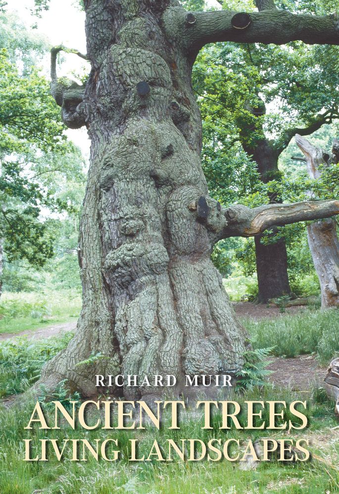 Ancient Trees, Living Landscapes
