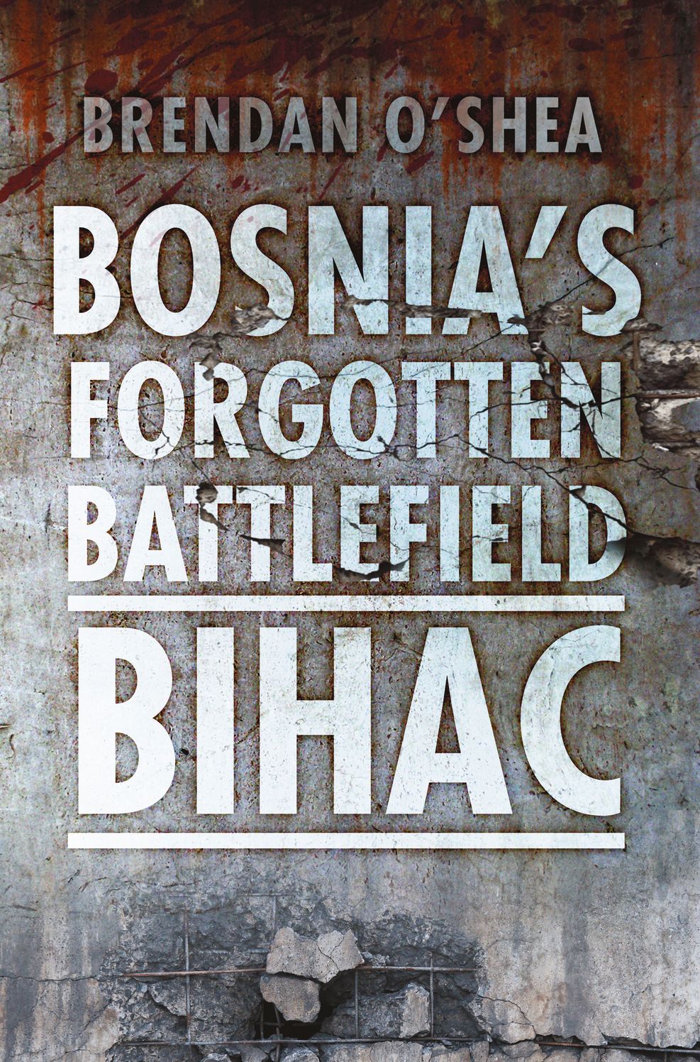 Bosnia's Forgotten Battlefield: Bihac