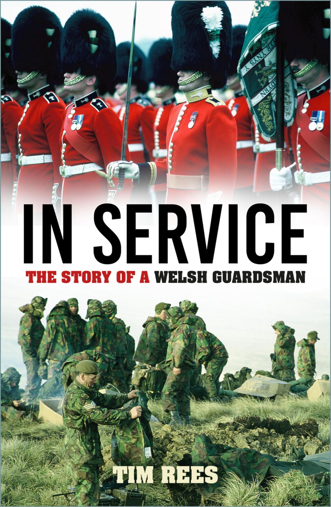 In Sights: The Story of a Welsh Guardsman