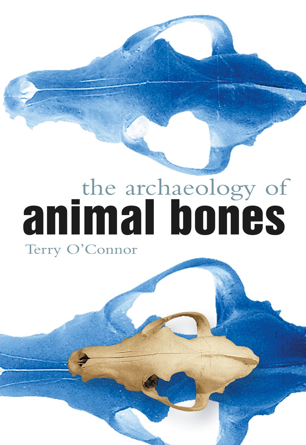 Archaeology of Animal Bones