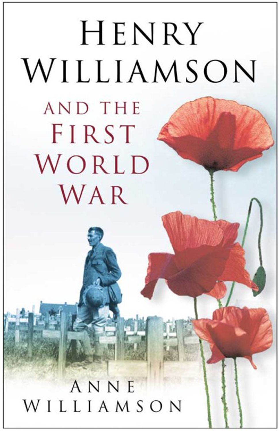 The Henry Williamson and the First World War