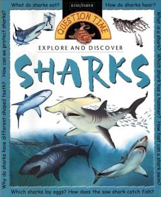 Question Time: Sharks