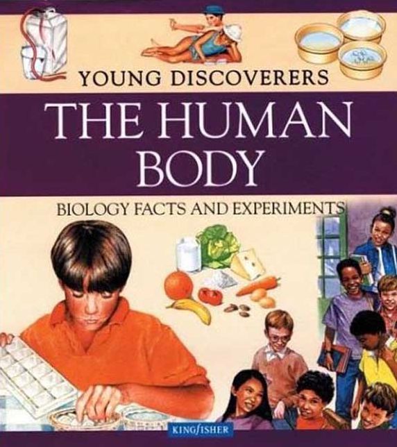 Human Body
