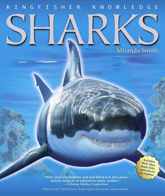 Sharks