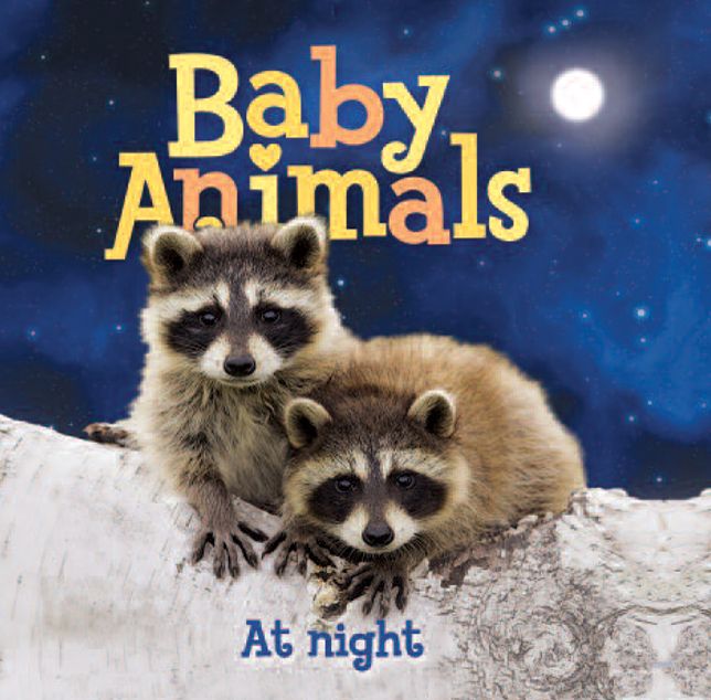 Baby Animals At Night
