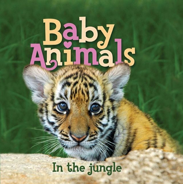 Baby Animals In the Jungle