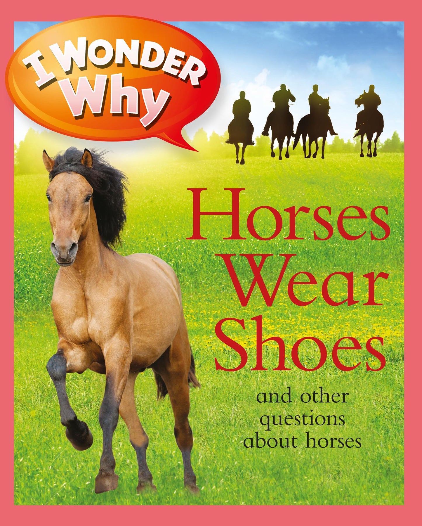 I Wonder Why Horses Wear Shoes and Other Questions about Horses