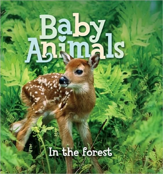 Baby Animals In the Forest