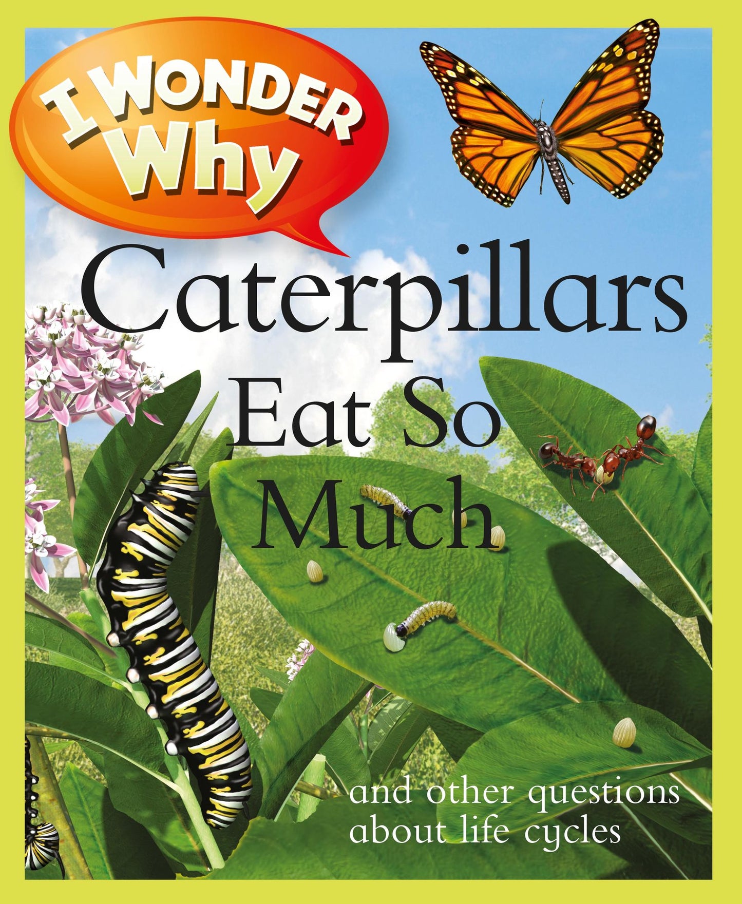I Wonder Why Caterpillars Eat So Much and Other Questions About Life Cycles