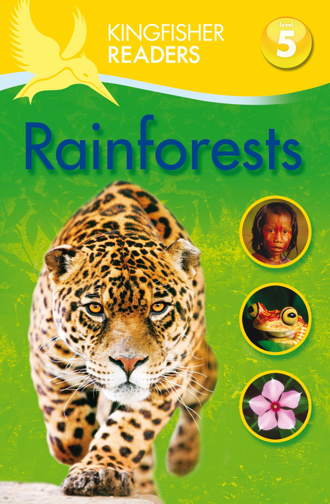 Rainforests (Kingfisher Readers Series: Level 5)