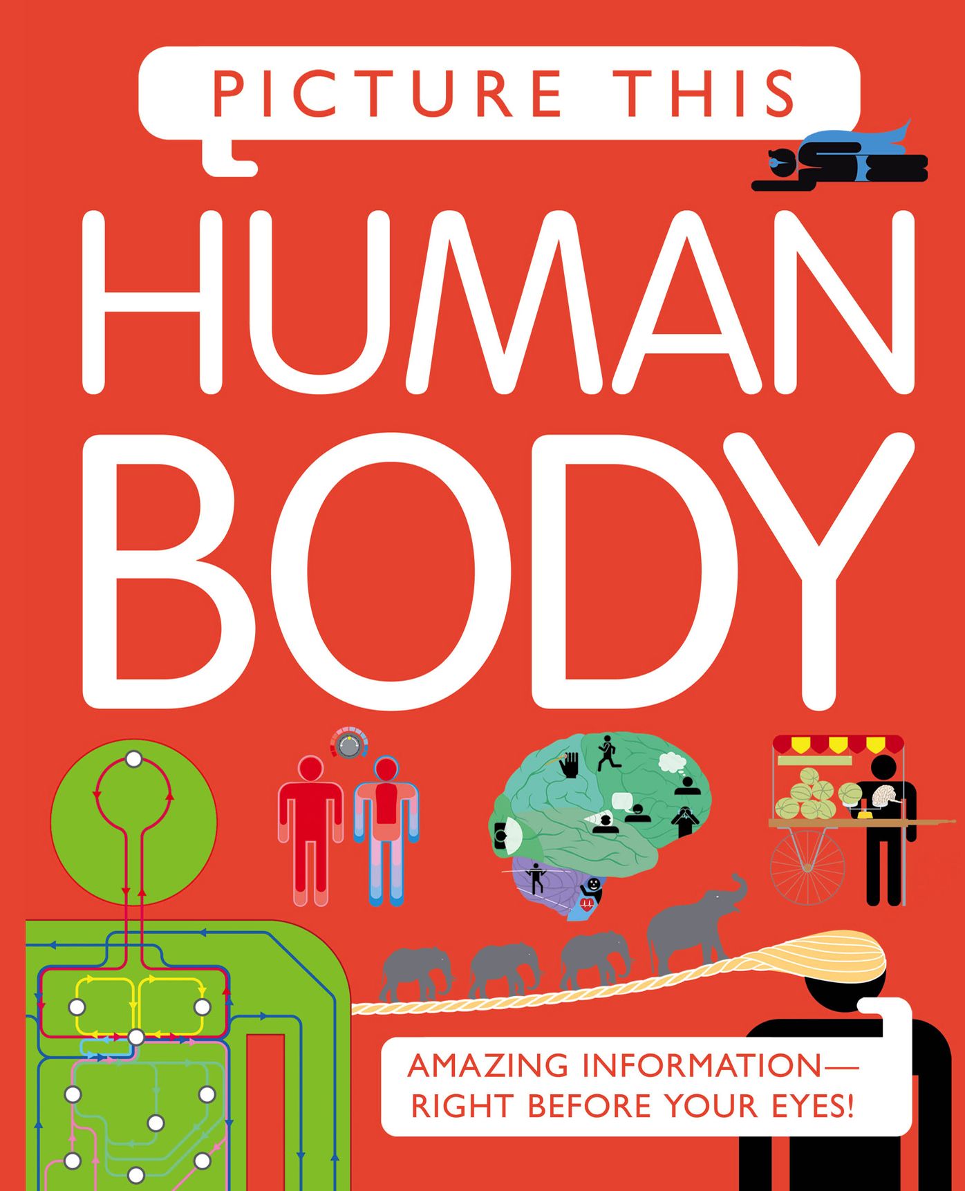Picture This! Human Body