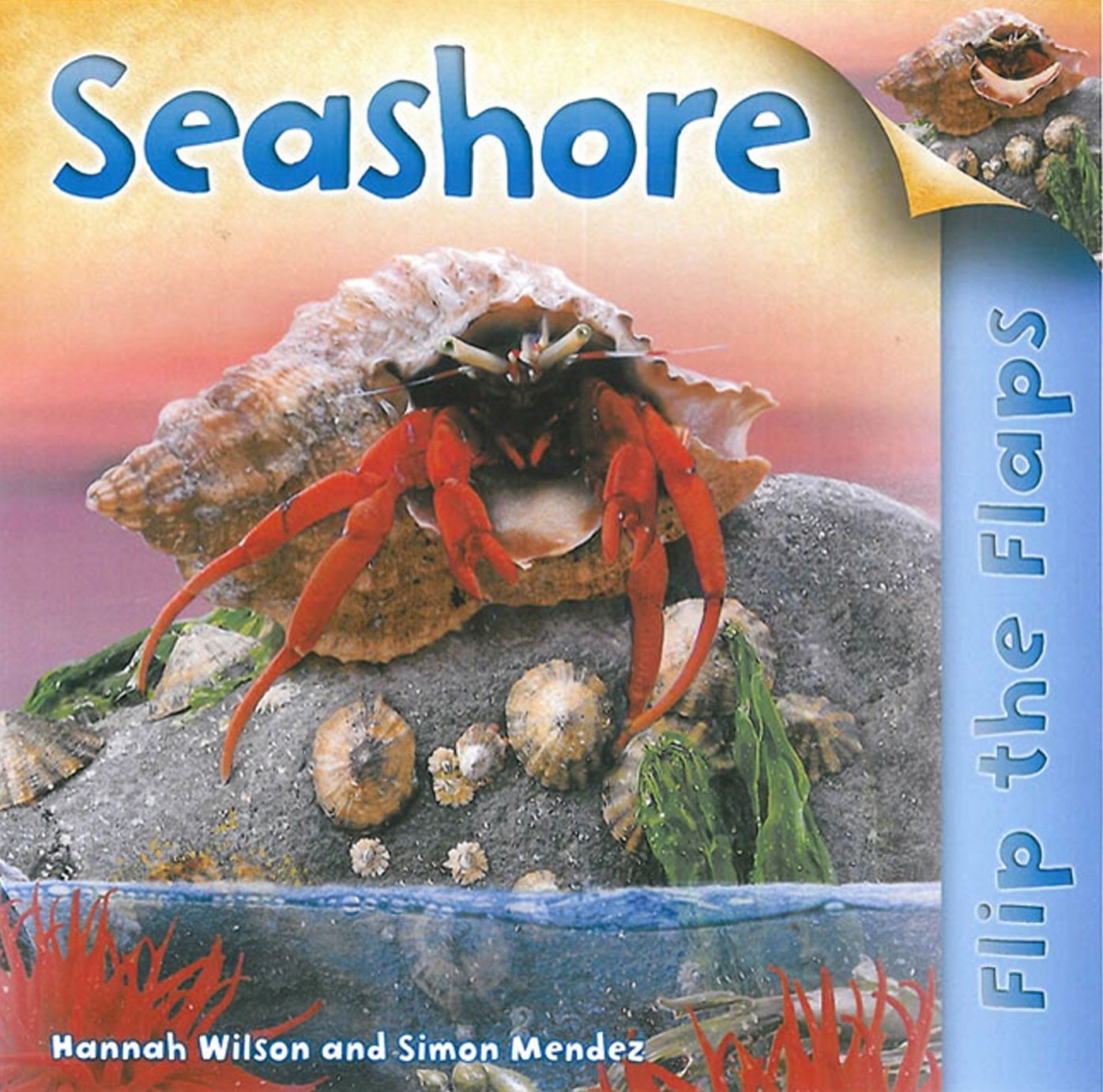 Seashore (Flip the Flaps Series)