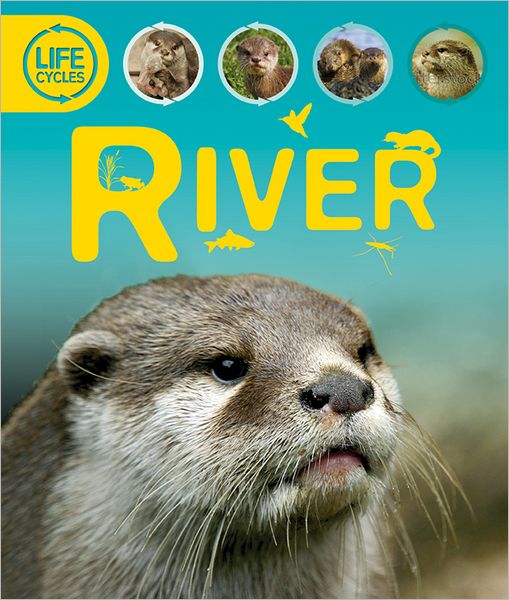 Life Cycles: River