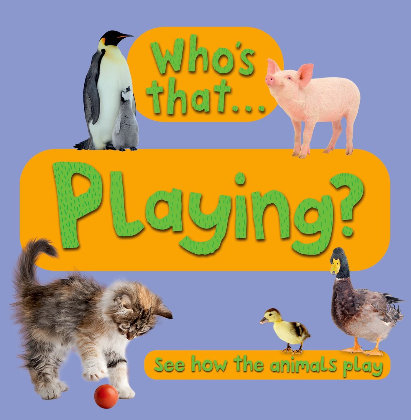 Who's That? Playing