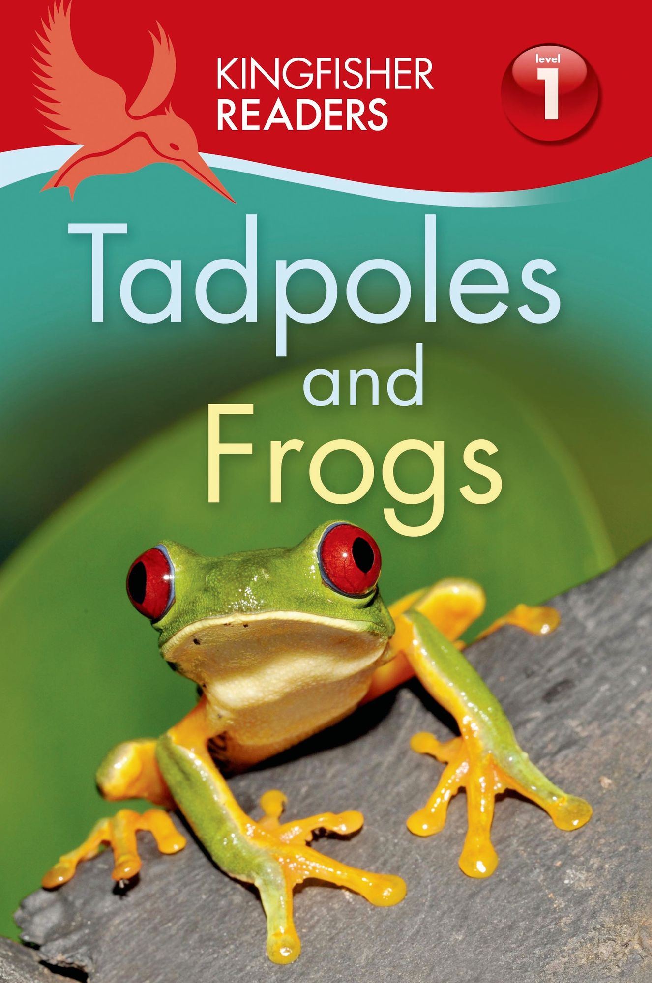 Tadpoles and Frogs (Kingfisher Readers Series: Level 1)